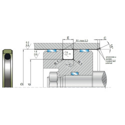 Pseal TPD PTFE-BZ+OR 20X15.1X2.2